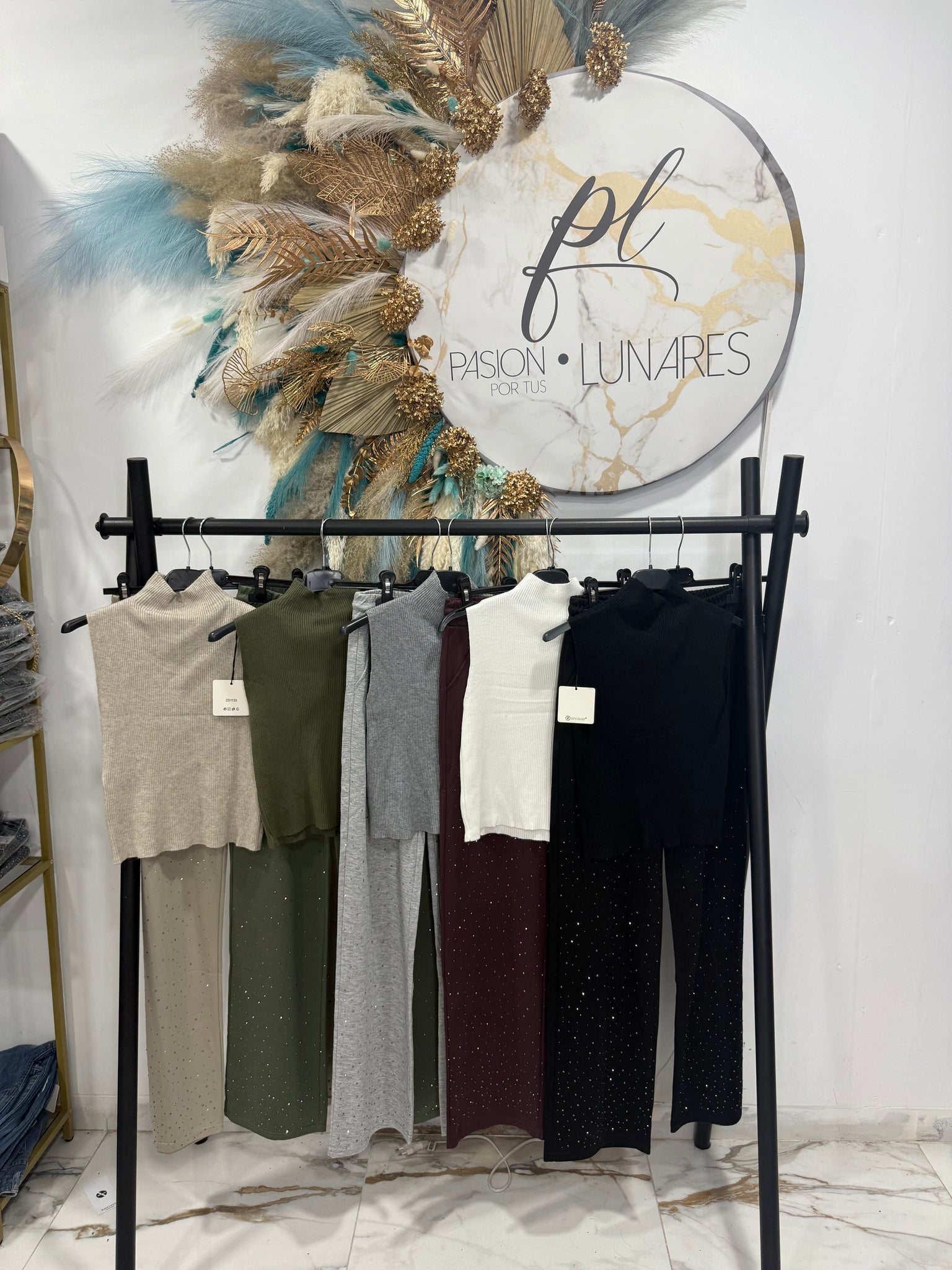 CONJUNTO CISNE